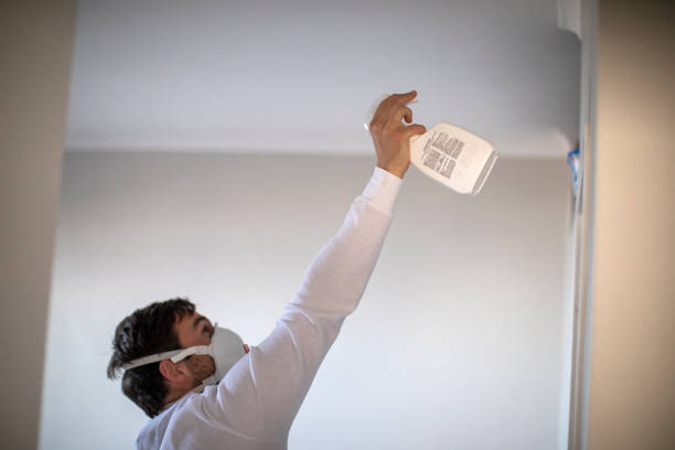 Best Certified Mold Removal  in Meeker, CO