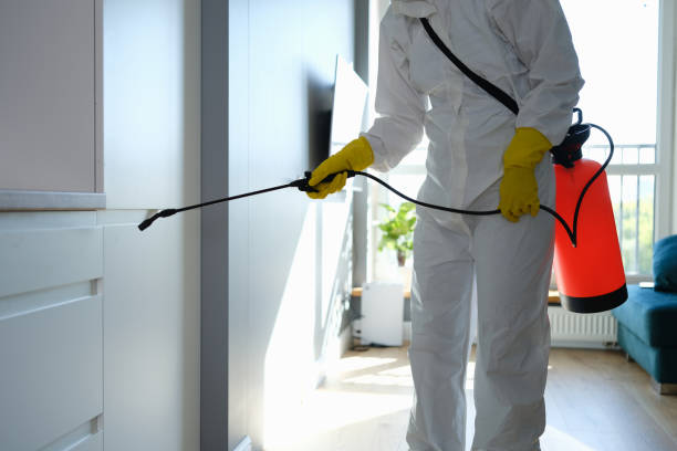 Mold Testing and Removal in Meeker, CO