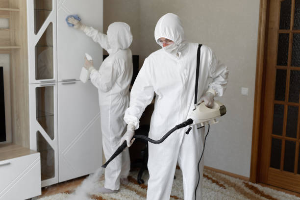 Crawl Space Mold Removal in Meeker, CO