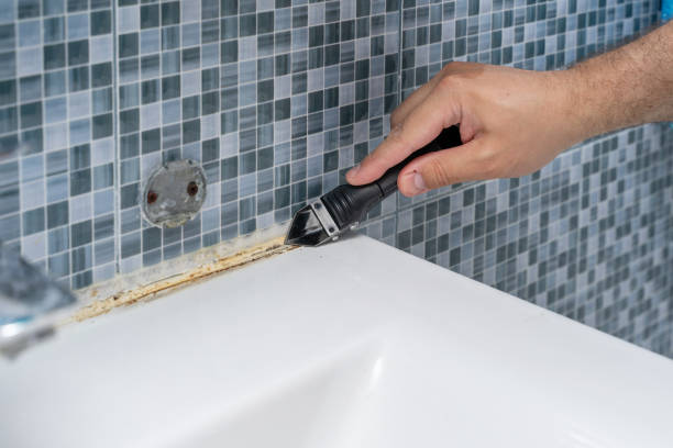 Best Professional Mold Removal  in Meeker, CO