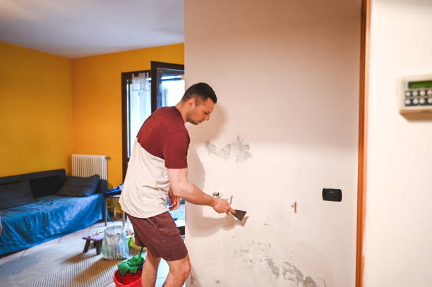 Best Home Mold Removal  in Meeker, CO